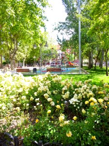 Logroño - Parque Gallarza 9