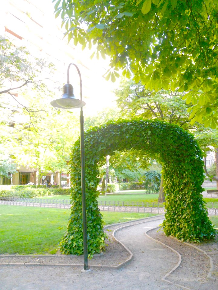 Logroño - Parque del Carmen 15