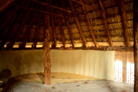 Longola (2018)-7
