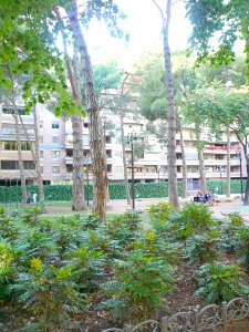 Logroño - Parque del Carmen 12