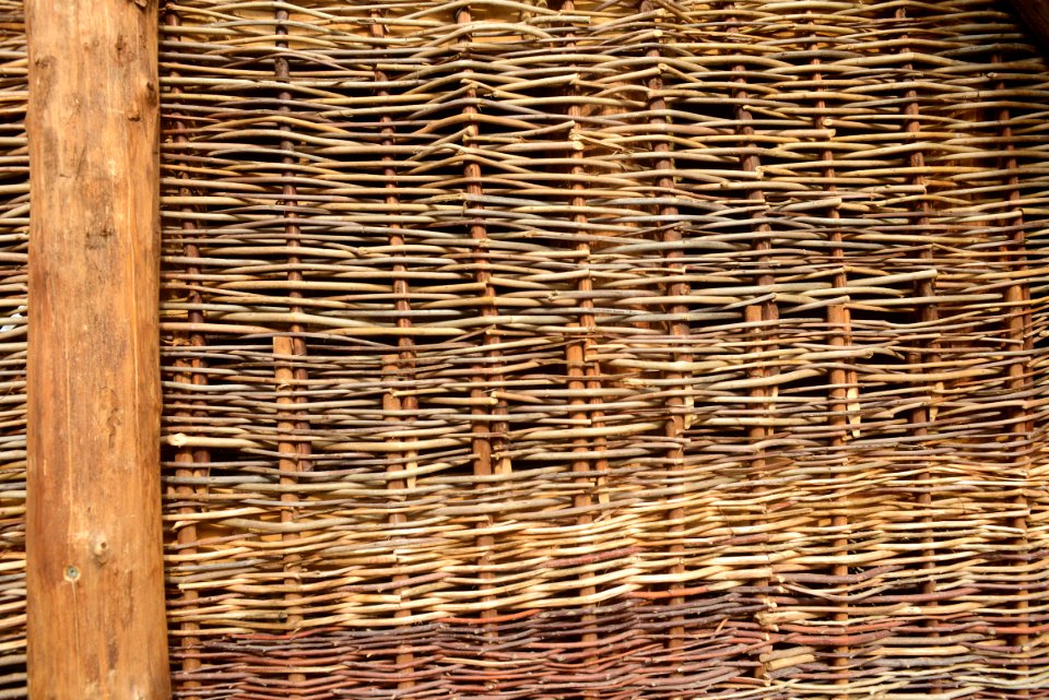 Longola (2018)-13