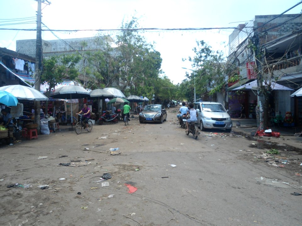 Longquan (formerly Shiziluzhen) after Typhoon Rammasun (2014) - 02