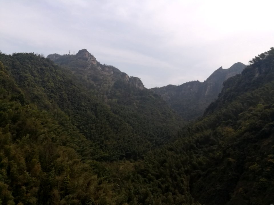 Longshan National Forest Park4