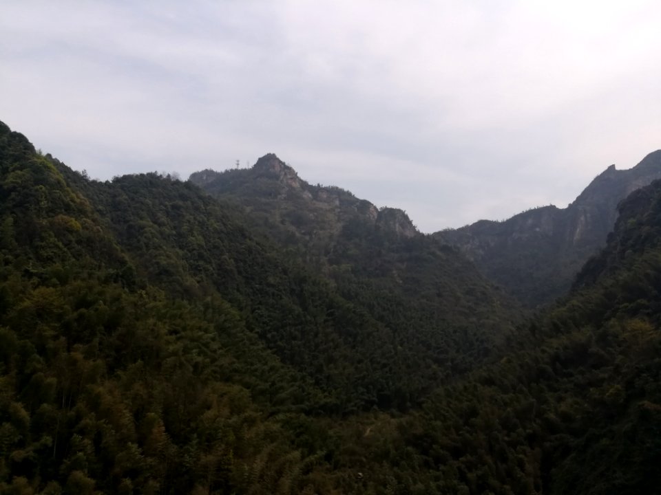 Longshan National Forest Park5