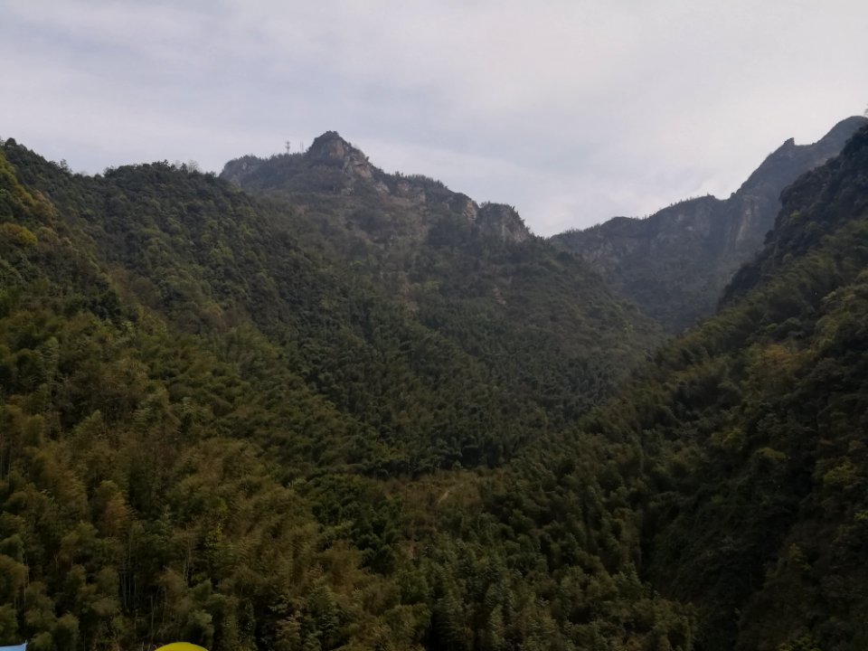 Longshan National Forest Park8