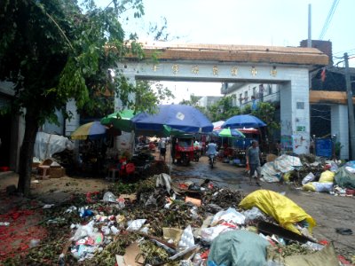 Longquan (formerly Shiziluzhen) after Typhoon Rammasun (2014) - 01