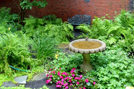 Longfellow Garden - Maine Historical Society - Portland, Maine - DSC03922