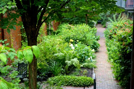 Longfellow Garden - Maine Historical Society - Portland, Maine - DSC03918
