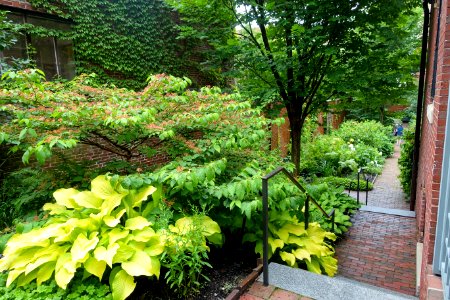 Longfellow Garden - Maine Historical Society - Portland, Maine - DSC03914