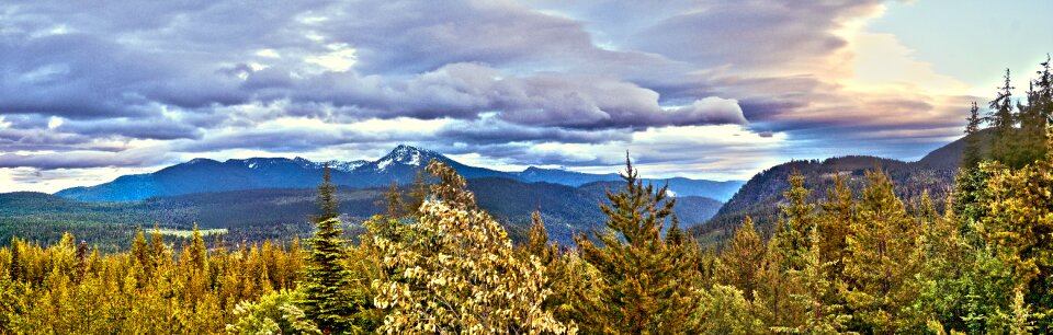 Trees mountains valley photo