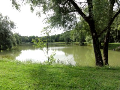Longeville-en-Barrois (Meuse) parc et étang (02) photo