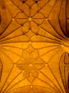 Logroño - Abovedamientos de la Catedral 07