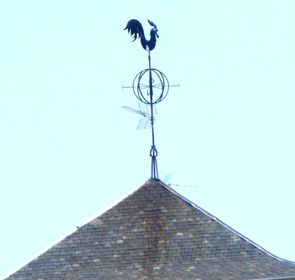 Logroño - Gallo