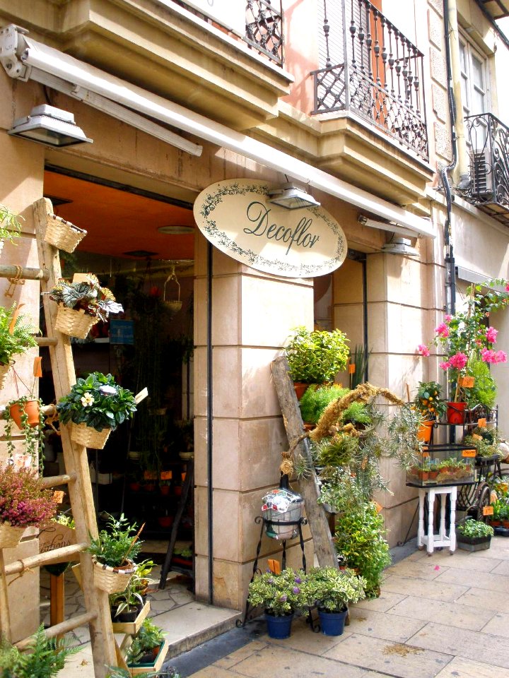 Logroño - Calle Portales 14