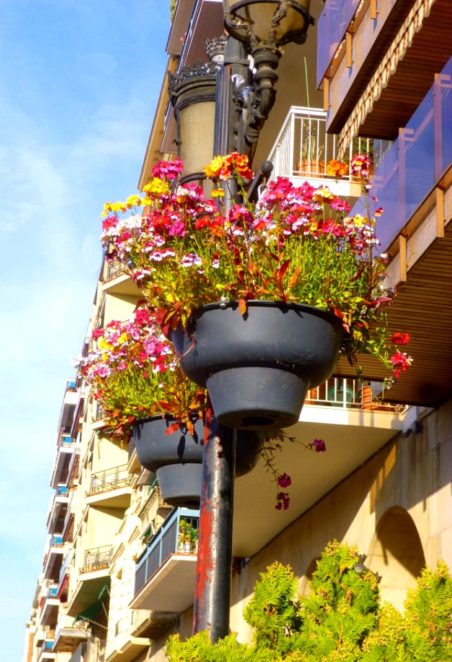 Logroño - Calle Francisco Muro de la Mata