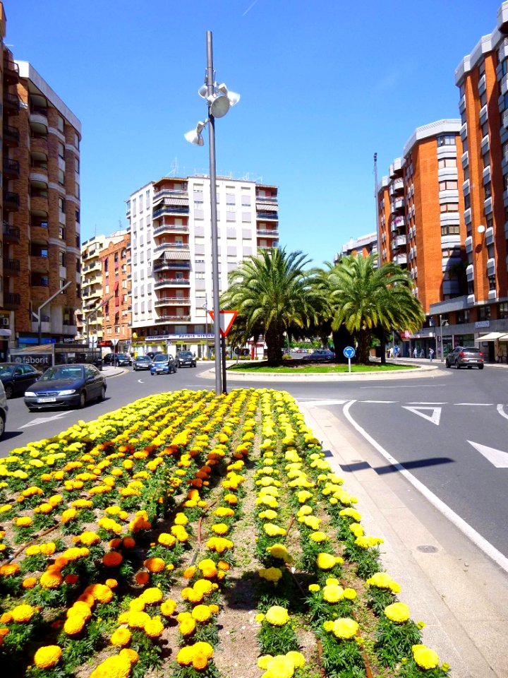 Logroño - Avenida Gran Vía Rey Juan Carlos I 23