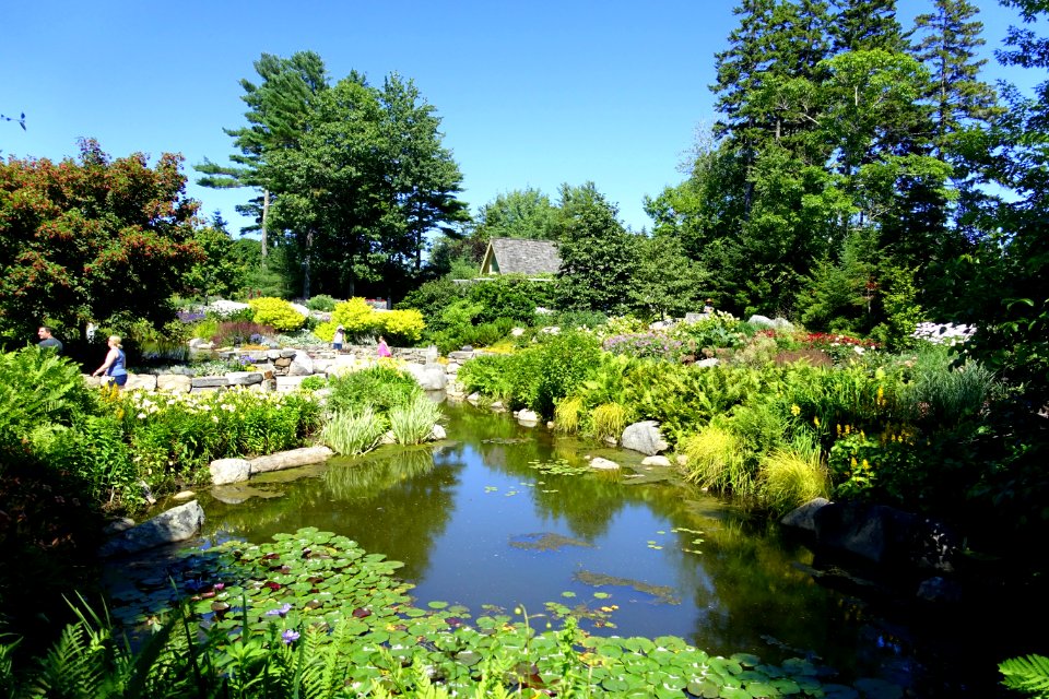 Little pond Coastal Maine Botanical Gardens - DSC03163