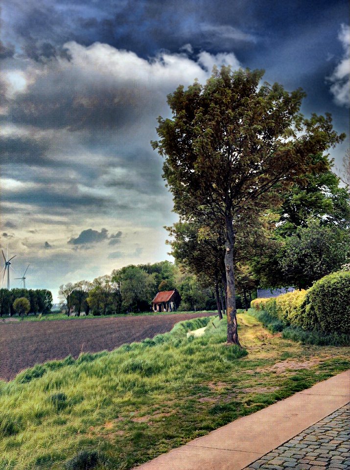 Little House In The Polders (255858269)