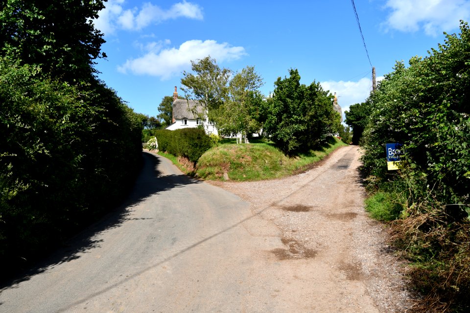 Littleham 2020-06-21 10