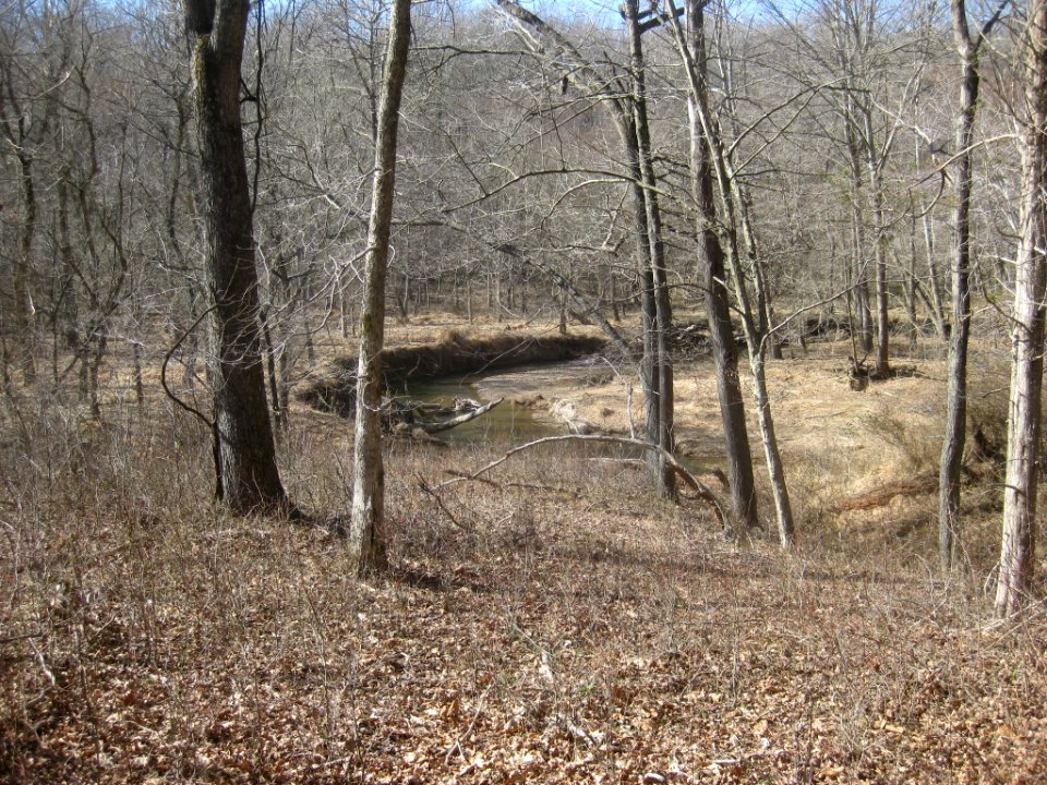 Little Seneca Creek Montgomery County Maryland