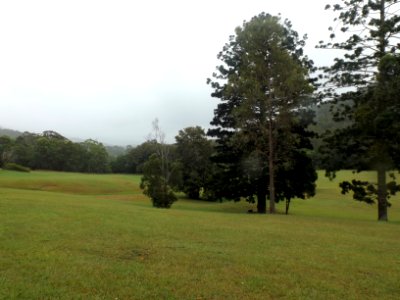 Little Clagiraba Reserve at Clagiraba, Queensland