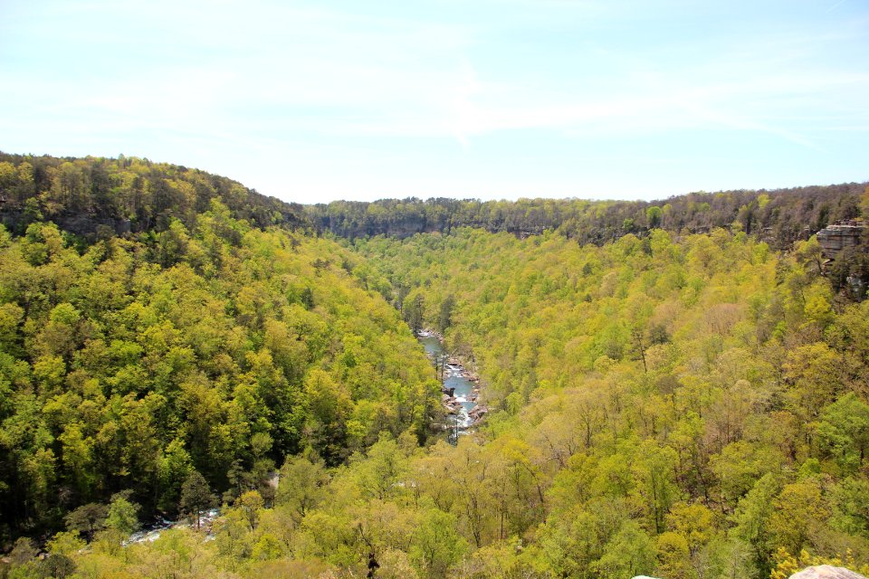 Little River Canyon from Canyon View Overlook, April 2018 1