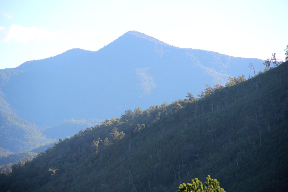 Little Fodderstack from US 129, Aug 2019