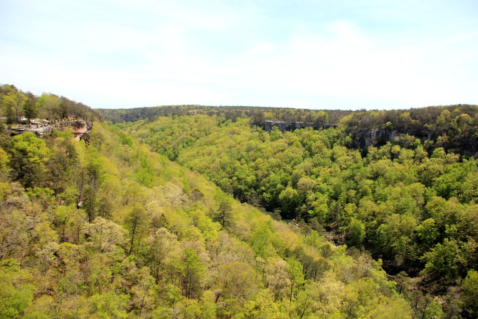 Little River Canyon from Wolf Creek Overlook, April 2018 1
