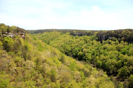 Little River Canyon from Wolf Creek Overlook, April 2018 1
