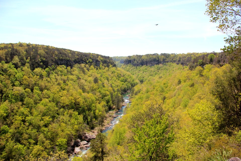 Little River Canyon from Wolf Creek Overlook, April 2018 2