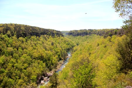 Little River Canyon from Wolf Creek Overlook, April 2018 2