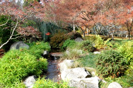 Lithia Park - Ashland, Oregon - DSC02739