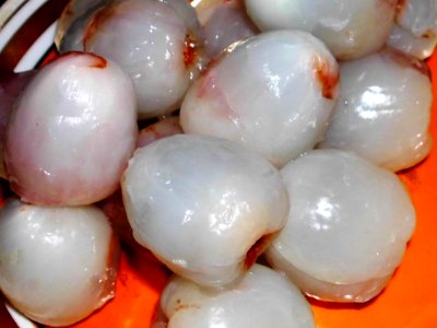 Litchi chinensis f002