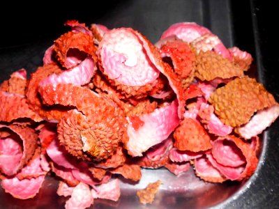 Litchi chinensis f003
