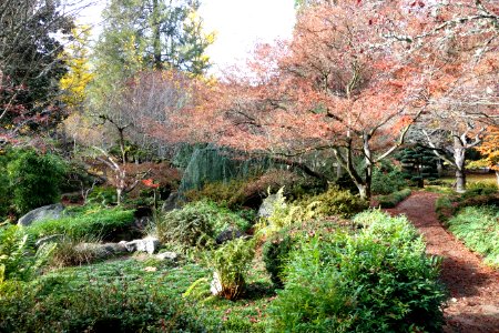 Lithia Park - Ashland, Oregon - DSC02737