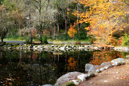 Lithia Park - Ashland, Oregon - DSC02743