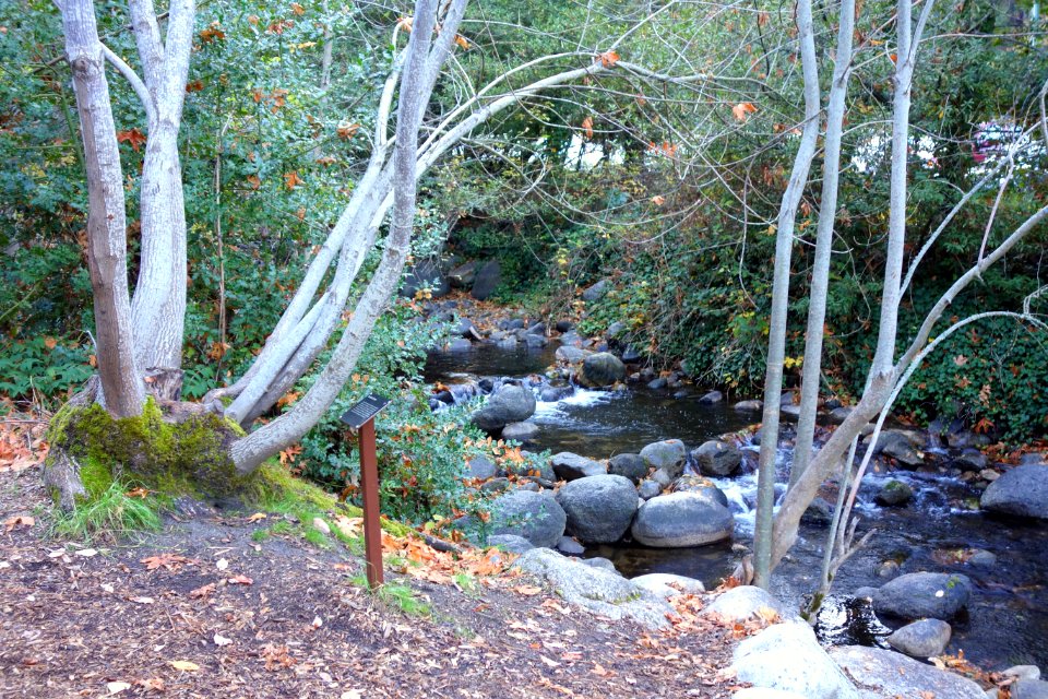 Lithia Park - Ashland, Oregon - DSC02677