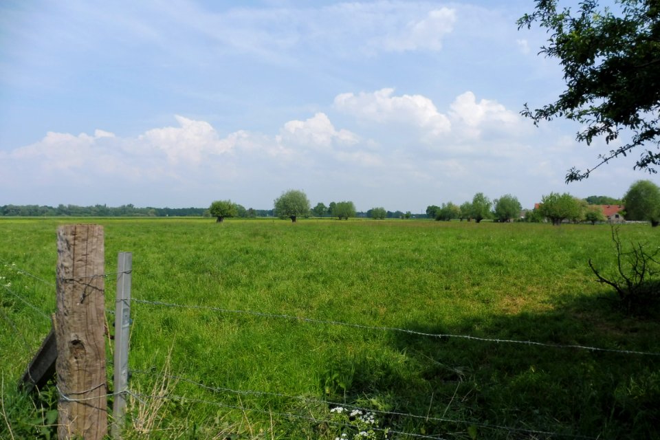 Lippeniederung V - Heitwinkel - 4