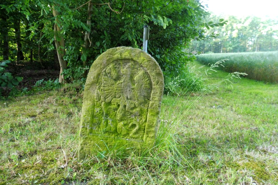 Lipperbruch - Grenzstein Nr. 17 - Preußische Seite