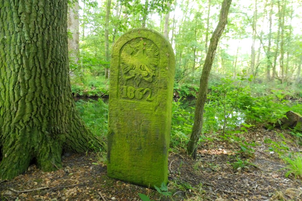 Lipperbruch - Grenzstein Nr. 16 - Preußische Seite