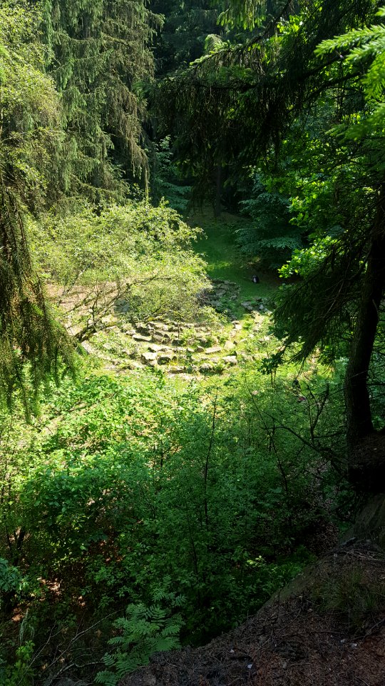 Lippische Velmerstot-Labyrinth (4)