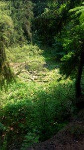 Lippische Velmerstot-Labyrinth (4)