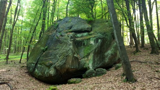 Lippische Velmerstot-Felsformation (3)