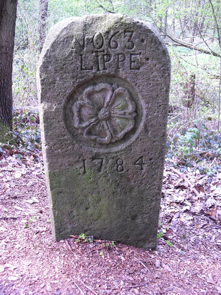 Lippisch-Ravensberger Grenzstein 63-Lippische Seite