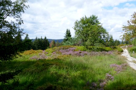 Lippische Velmerstot - 08