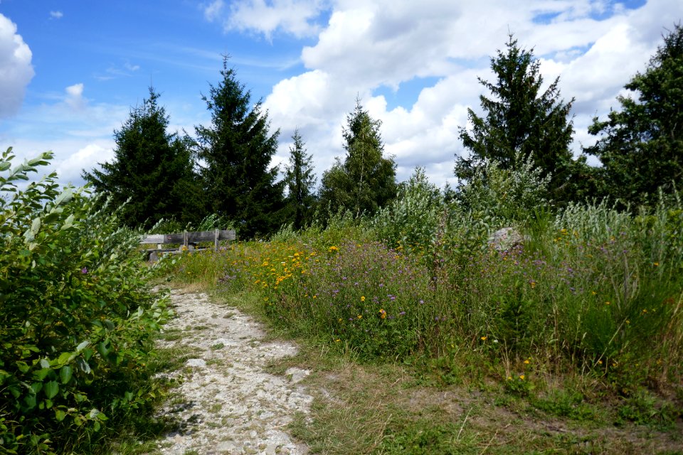 Lippische Velmerstot - 02
