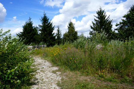 Lippische Velmerstot - 02