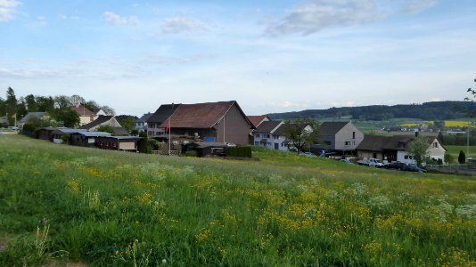 Lippoldswilen TG