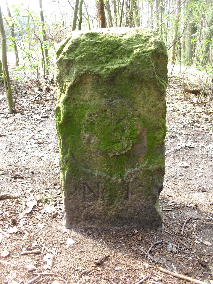 Lippisch-Paderborner-Rietberger Grenzstein Nr. 1-Lippische Seite