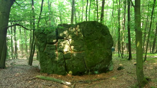 Lippische Velmerstot-Felsformation (4)